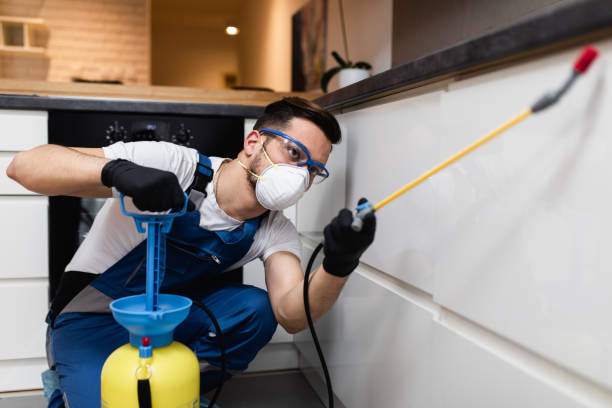 Best Affordable Pest Control Services  in Indian Shores, FL