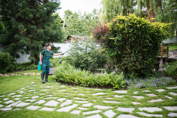 Pest Control Cost in Indian Shores, FL