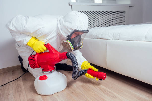 Best Residential Pest Control  in Indian Shores, FL