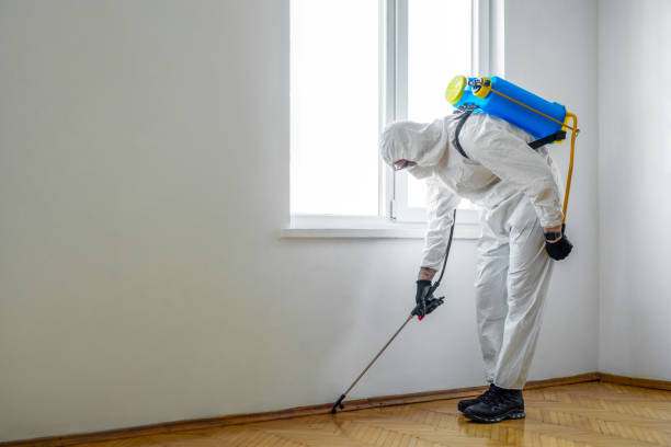 Best Best Pest Control Companies  in Indian Shores, FL