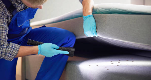 Best Commercial Pest Control Services  in Indian Shores, FL