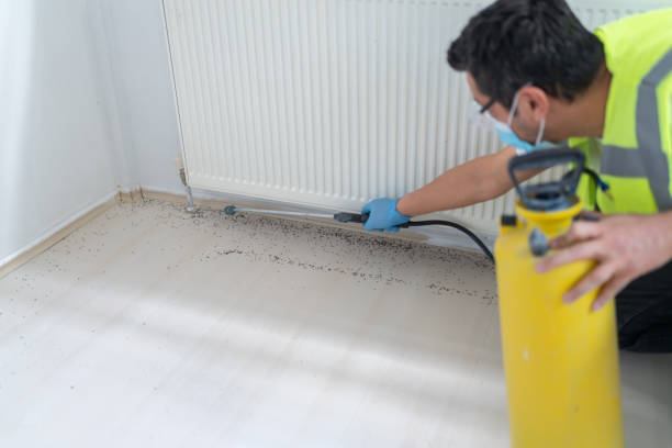 Best Local Pest Control Services  in Indian Shores, FL
